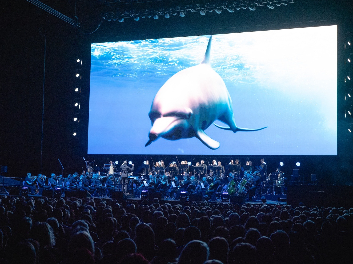 BLUE PLANET II: LIVE IN CONCERT
