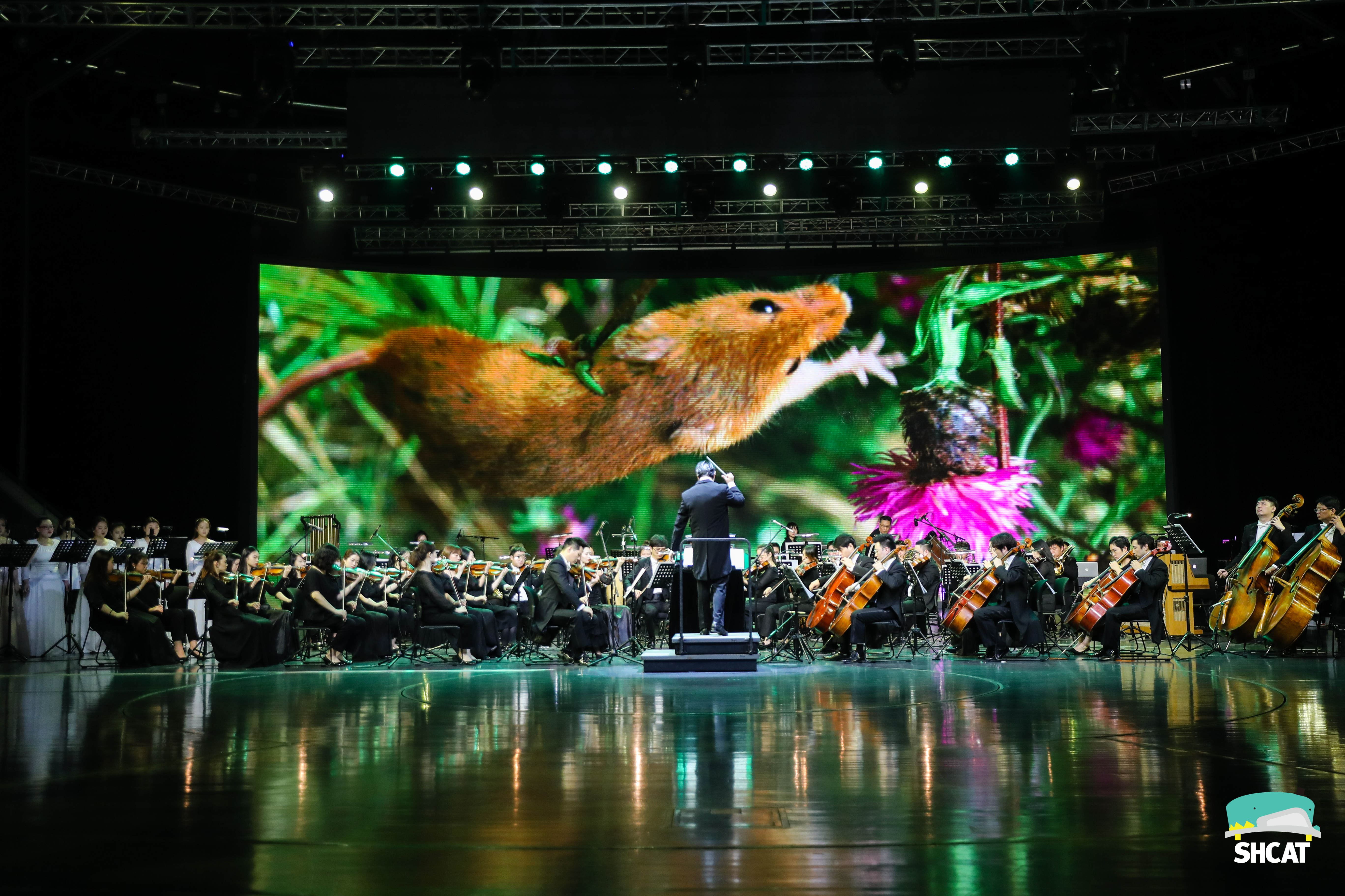 PLANET EARTH II – SHANGHI