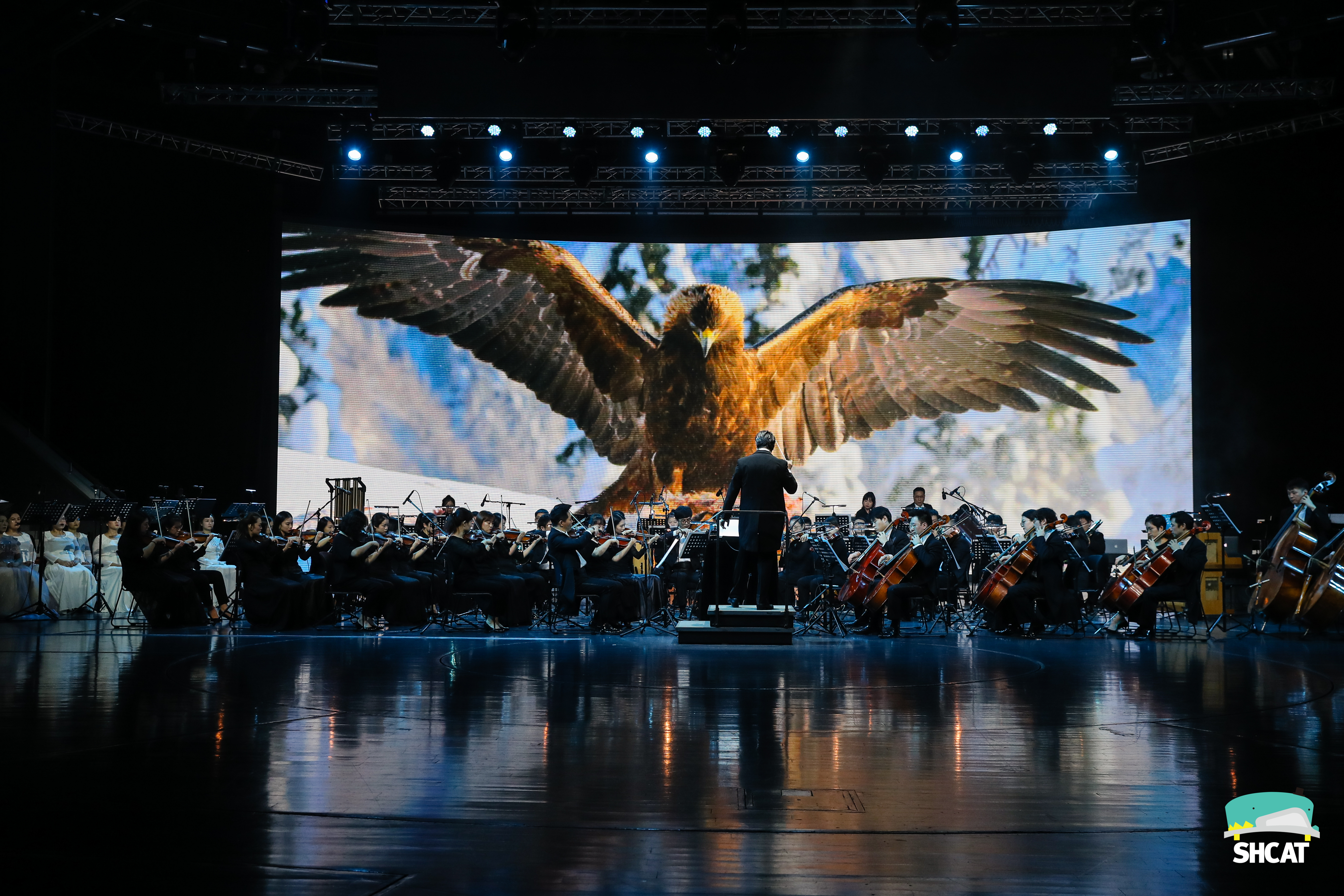 PLANET EARTH II – SHANGHI
